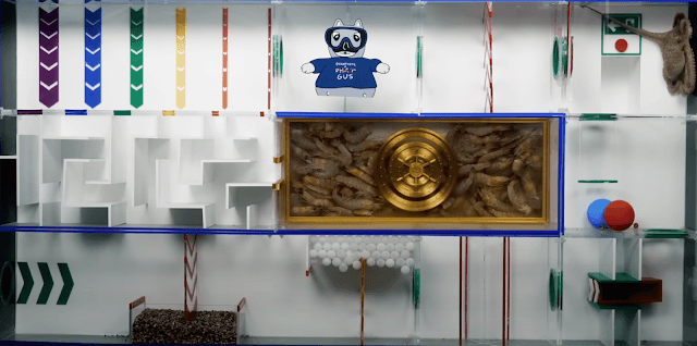 Octopus, in the upper right corner, solving a series of challenges, including a maze, to find food.